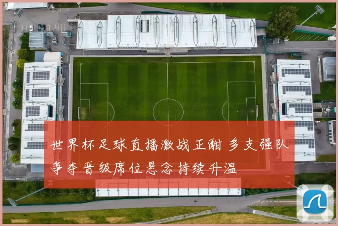 世界杯足球直播激战正酣 多支强队争夺晋级席位悬念持续升温