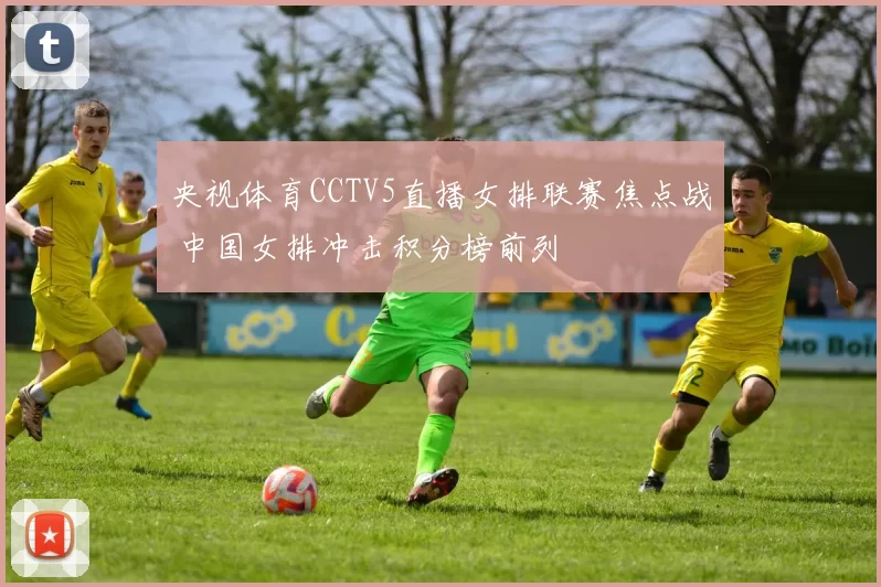 央视体育CCTV5直播女排联赛焦点战 中国女排冲击积分榜前列