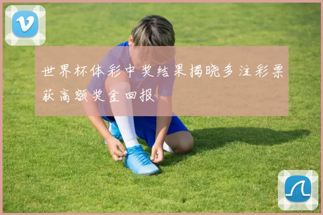 世界杯体彩中奖结果揭晓多注彩票获高额奖金回报
